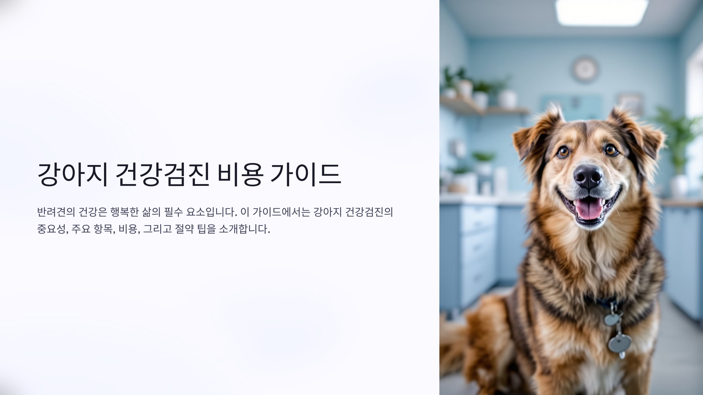 강아지 건강검진비용, 항목별 상세 가이드와 비용 절약 팁