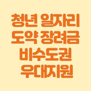 청년 일자리 도약장려금 비수도권 우대지원