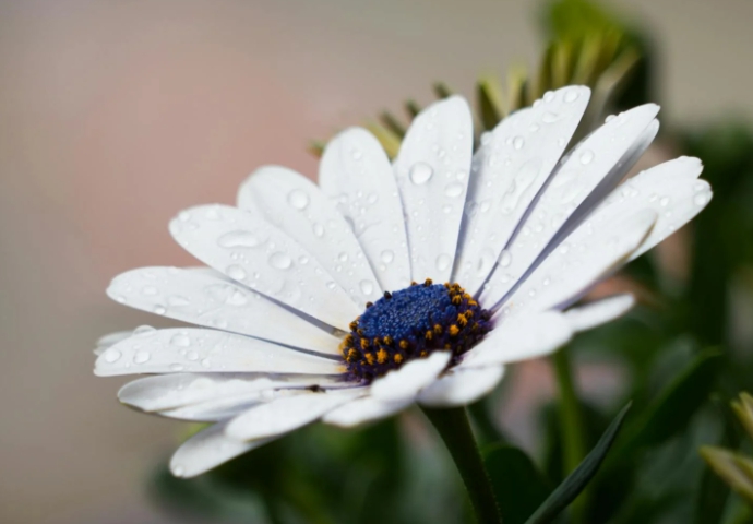 2024년 장마와 2025년 장마 비교