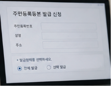 발급 전 확인사항