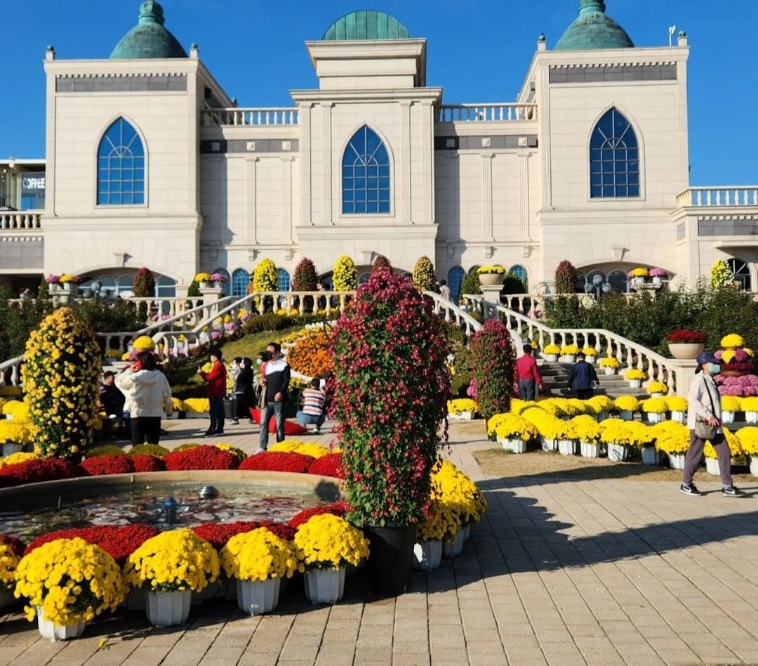 임실치즈축제 열차&amp;#44; 셔틀버스&amp;#44; 주차장 꿀팁