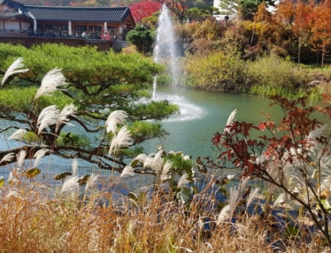 2024화담숲 가을단풍축제