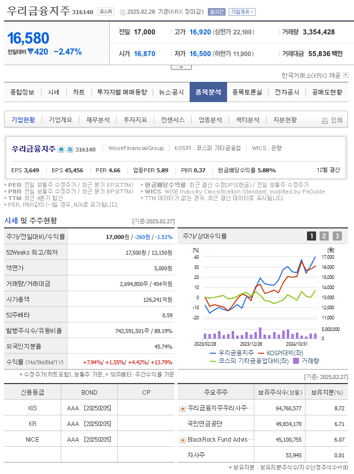 우리금융지주 기업현황