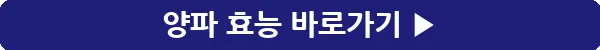 button_양파 효능_19