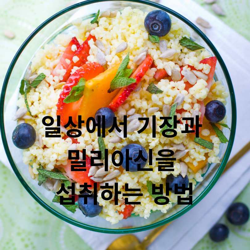 기장 속 밀리아신 효능 완벽 분석