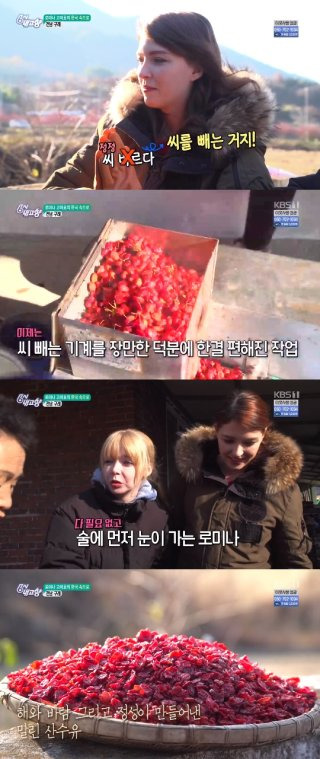 고미호 방송 활동