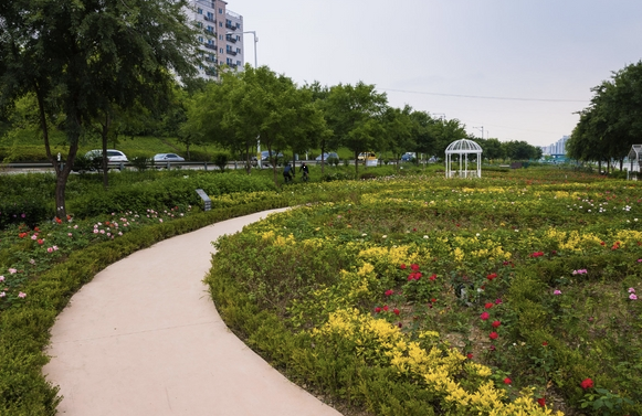 광진장미공원 이미지