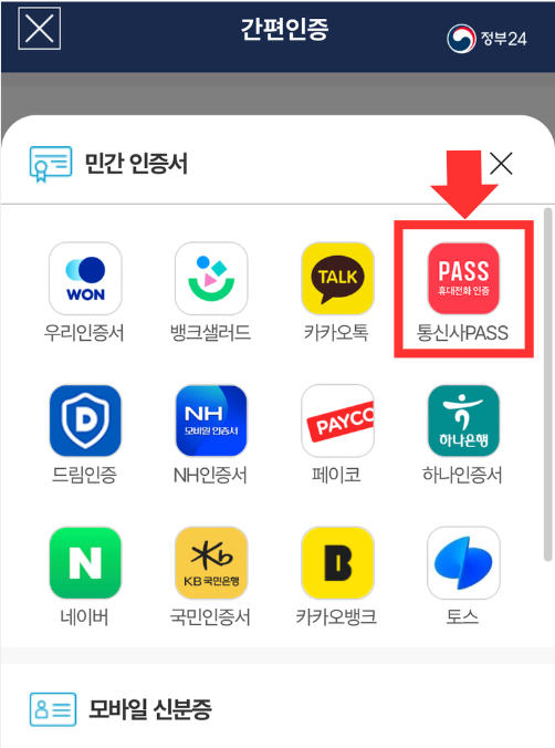 민간 인증서 PASS
