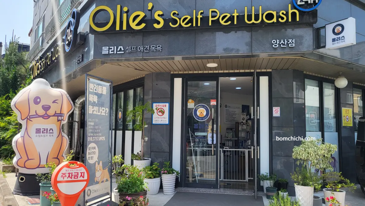 올리스 양산점 외관 입구 모습