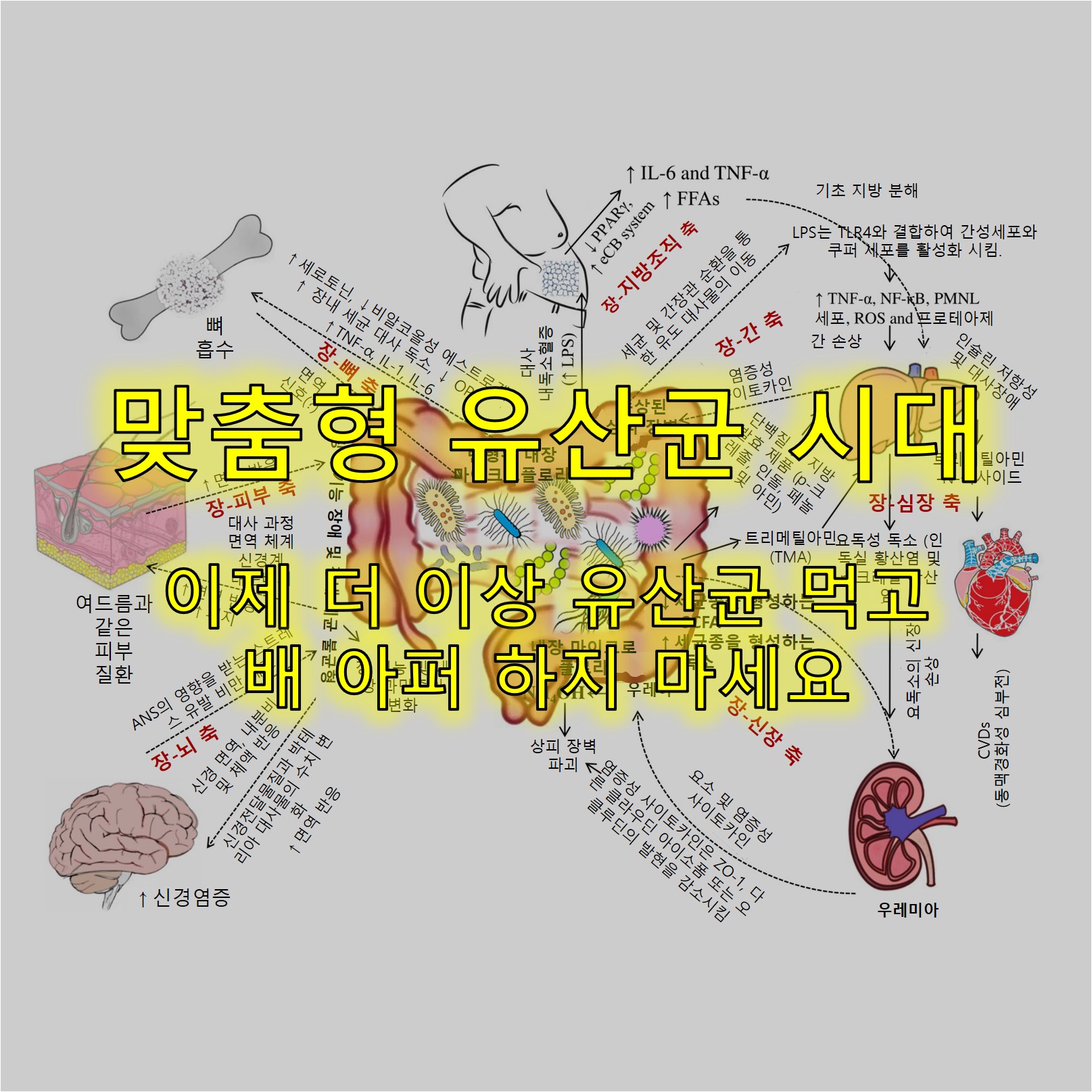맞춤형유산균