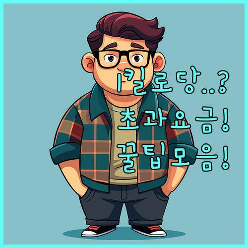 길상항공 수하물 초과 요금 1kg당 ..