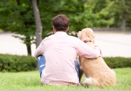 반려견 행동교정 관련사진진