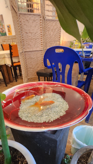 화정태국맛집쿠아촉디