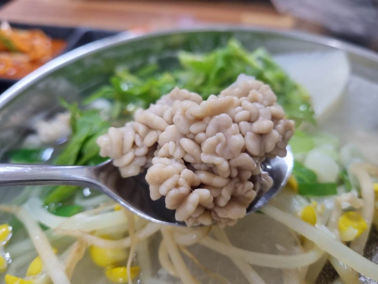 부산 가볼 만한 맛집은 어디일까? (부산 맛집 정보 BEST10!!)