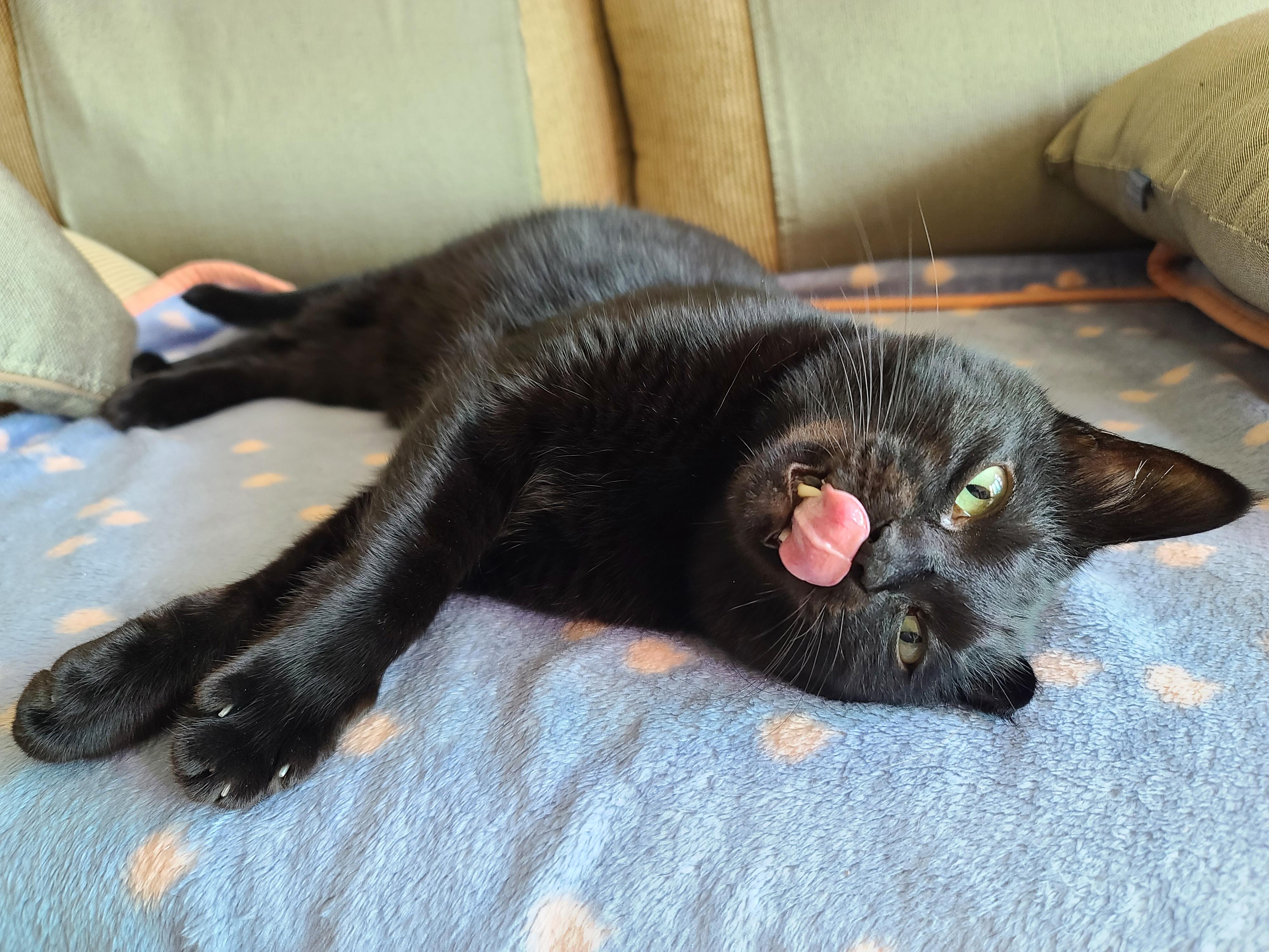 사랑스러운 스토커 건! (feat. 건이 콧구멍 ㅋㅋ)