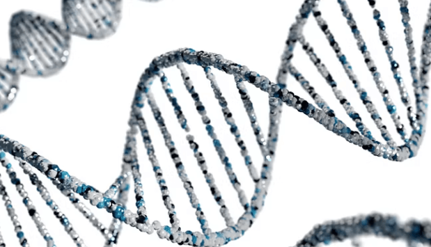 &#39;바스닥&#39; 폭발 임박! AI 주춤 속 차기 주도주 3가지