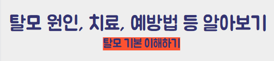 탈모 기본 이해하기