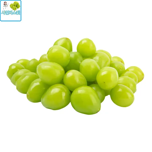 샤인머스켓 청포도 망고포도 샤인머스켓 2kg 가격 샤인머스켓 효능 보관방법 칼로리
