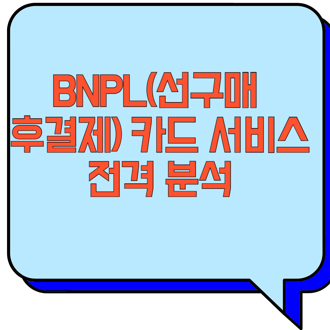 BNPL(선구매 후결제) 카드 서비스 전격 분석 관련 이미지 사진