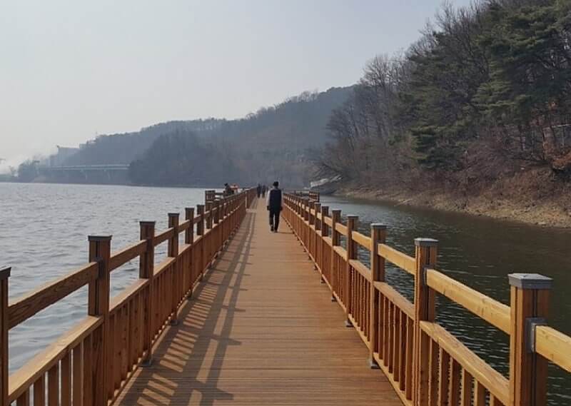 반려견과 함께 떠나는 전국 산행 명소 7선 : 강아지 동반 가능한 등산 코스 총정리