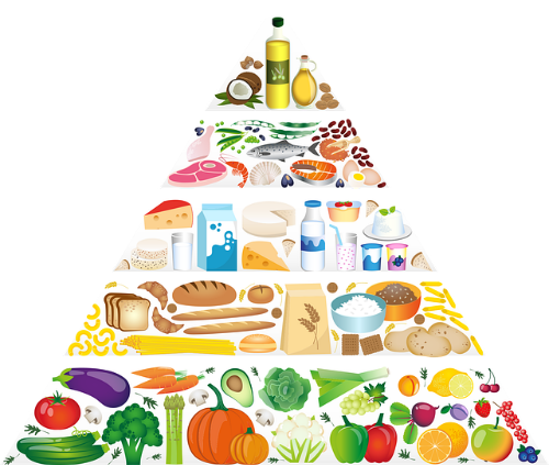 임산부-좋은 영양제-피해야 할 영양제