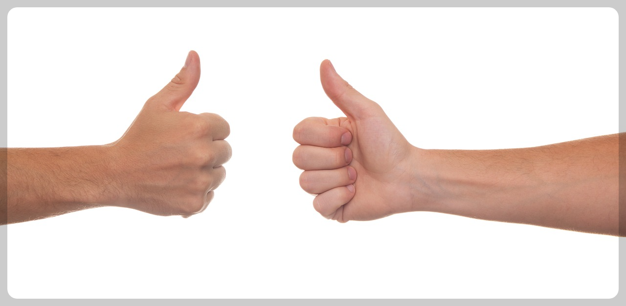 2024 노인 지원 정책