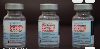 백일해 예방접종 가격 비교