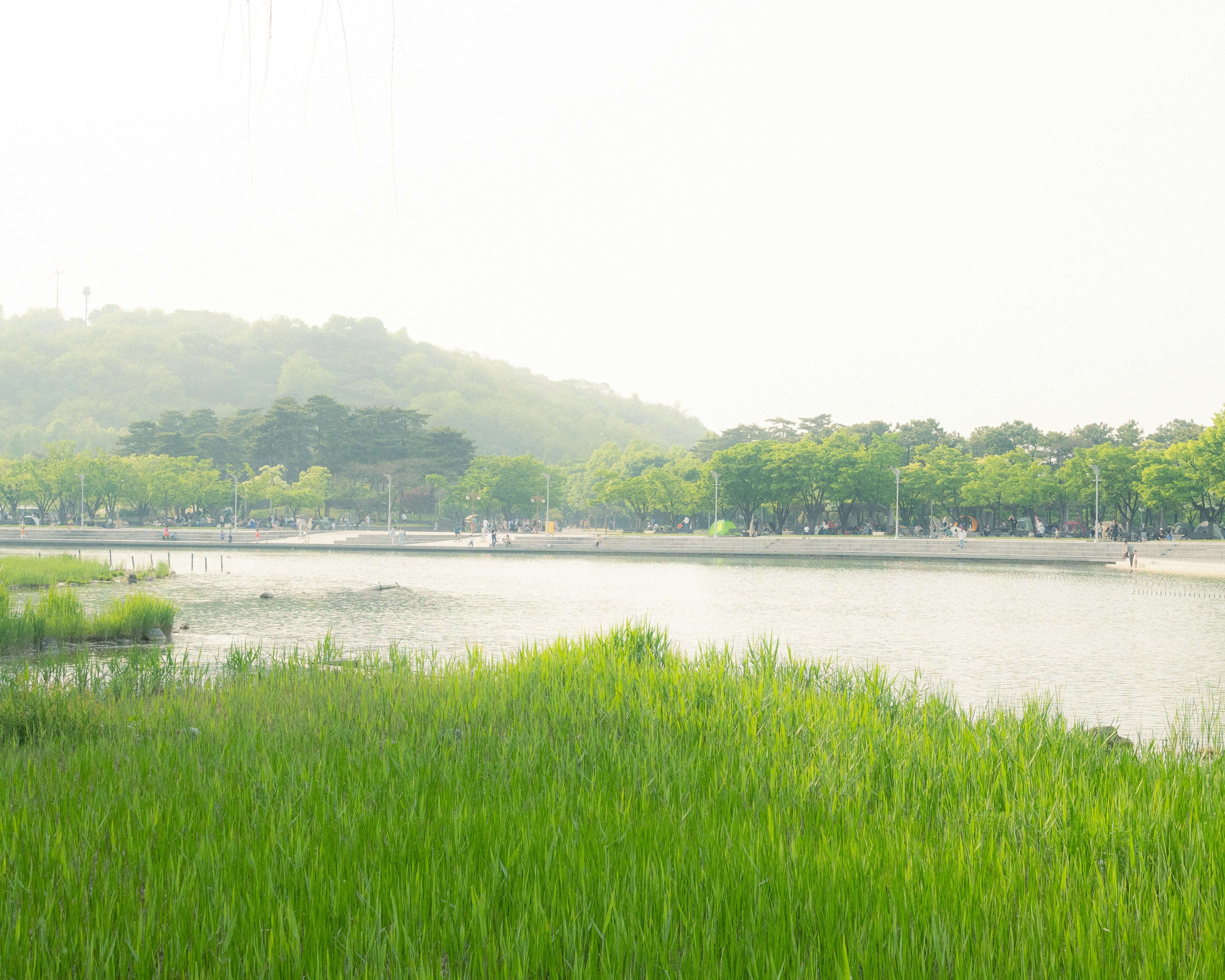 창녕-화왕산- 억새 명소 - 10월 -가을 여행 -3