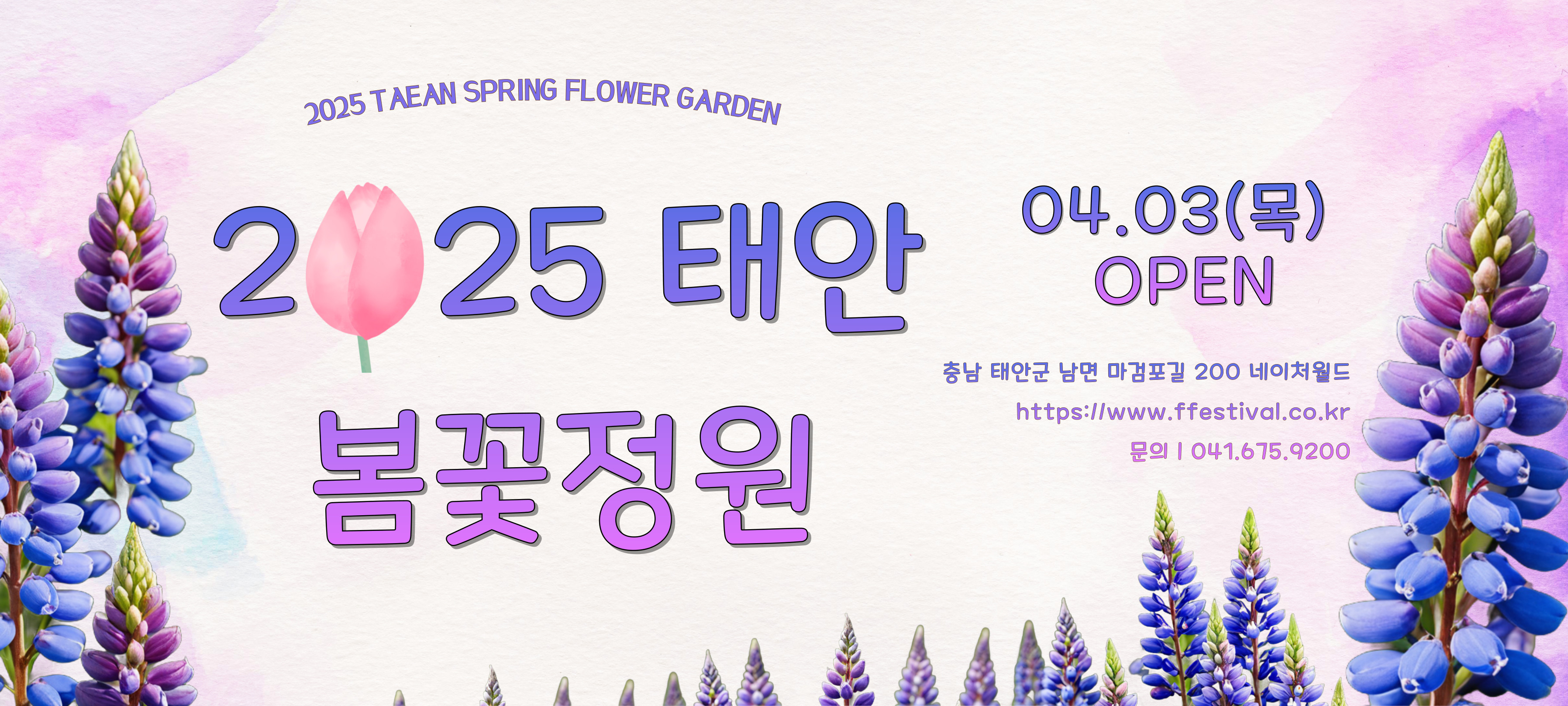 태안 네이처월드 빛축제 꽃정원