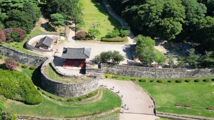 2025 고창 청농원 라벤더 축제: 보랏 빛 힐링의 계절이 돌아왔다!