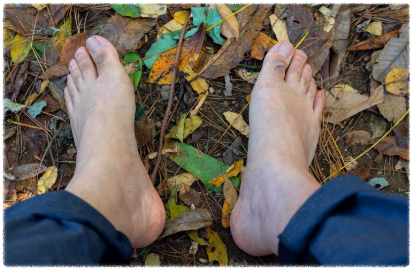 매일 아침 맨발 걷기
