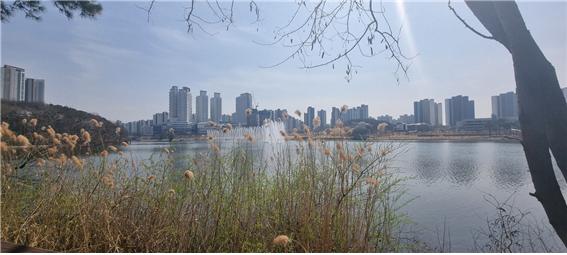 동탄 음악분수쇼 볼 수 있는 공원