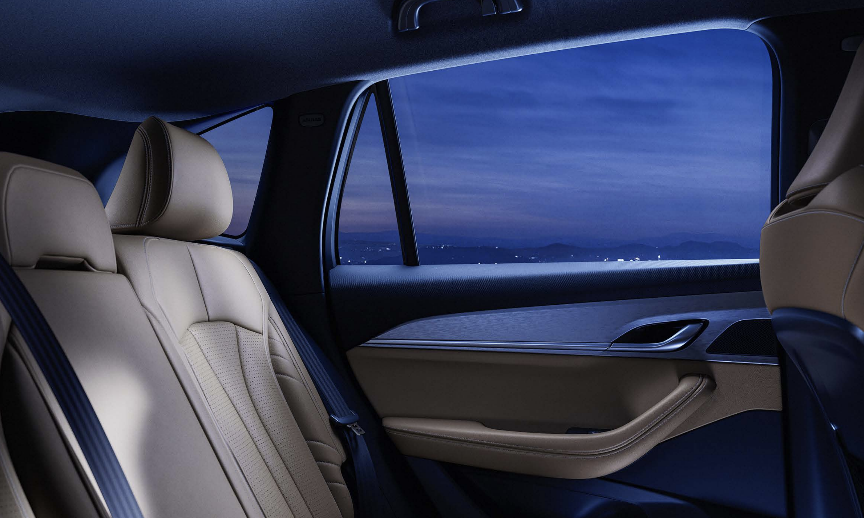 그랑 콜레오스 의자 시트 컬러