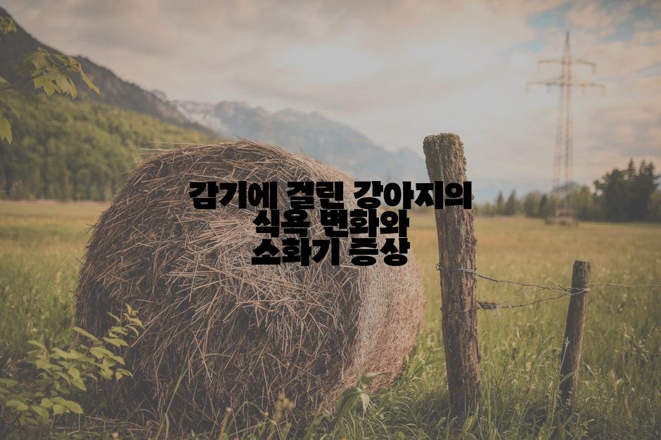 감기에 걸린 강아지의 식욕 변화와 소화기 증상