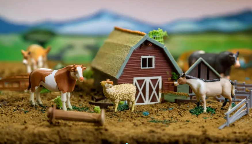 축사 인근토지의 현실과 수익성 비교