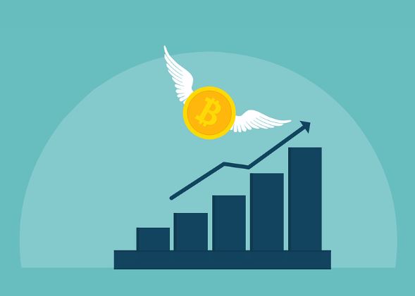 한국은행의 암호화폐 대응 전략: 디지털 통화 시대를 준비하는 중앙은행의 움직임