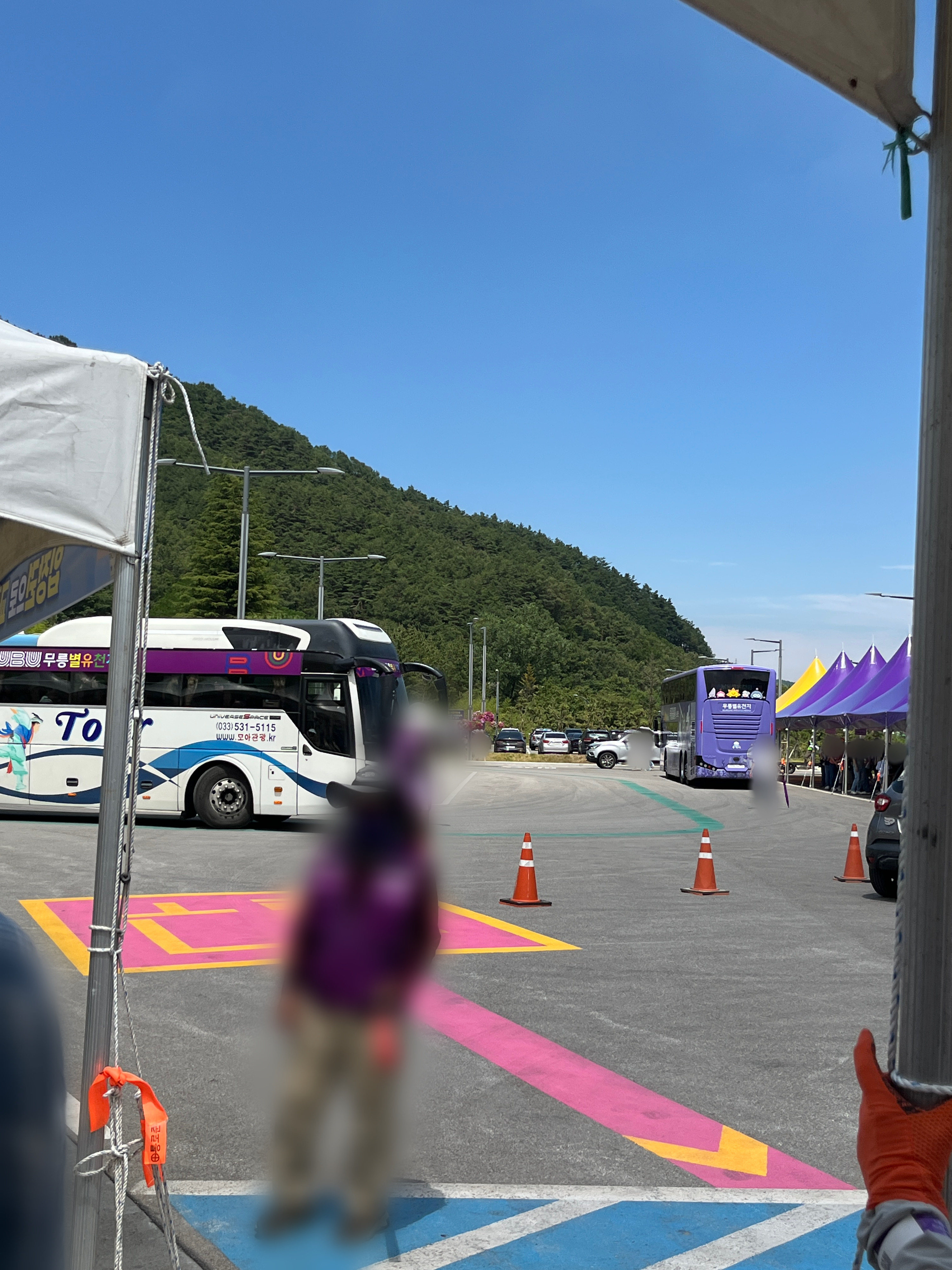 무릉별유천지 라벤더