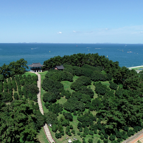 서천마량리 동백나무숲