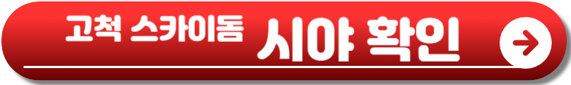 조용필 콘서트