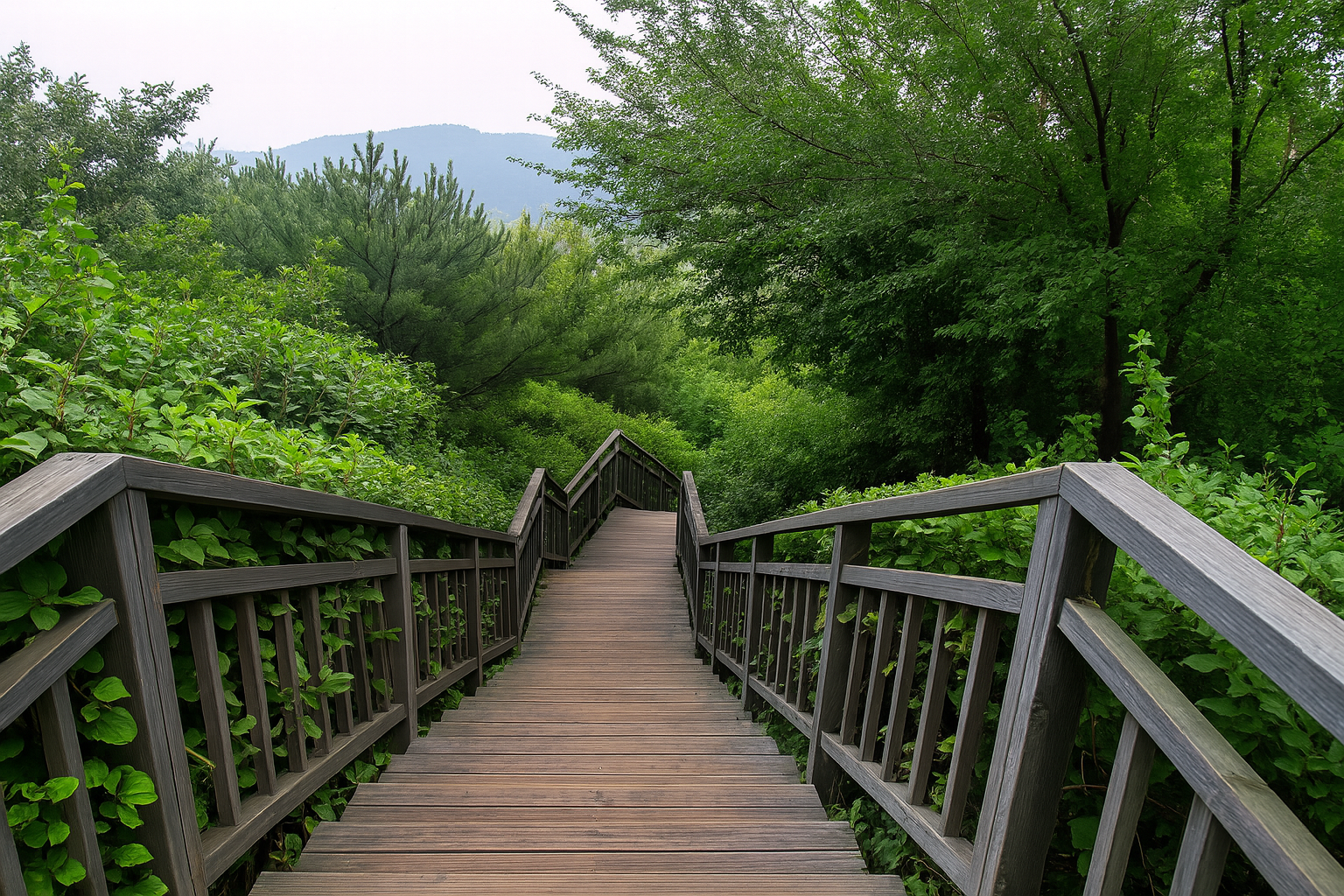 서울 인왕산 자락길 사진