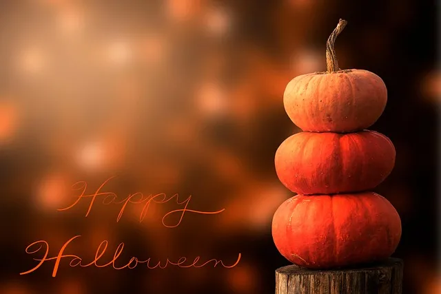 축하 인사말 예시 모음 이모티콘_6