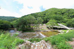 자연휴양림 추첨 예약