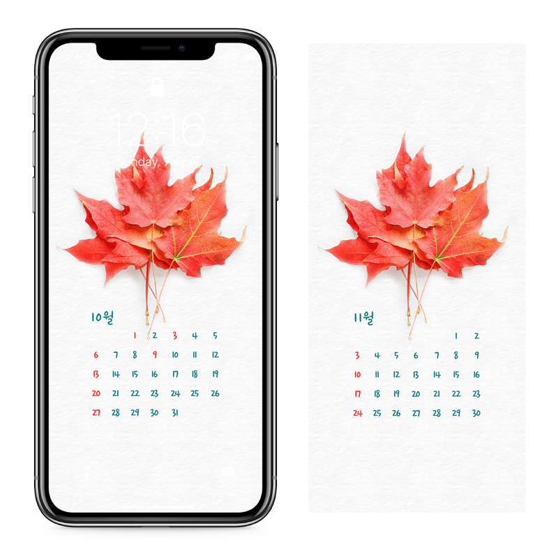 06 플라타너스 나뭇잎 AB - 2024년10월 아이폰달력배경화면