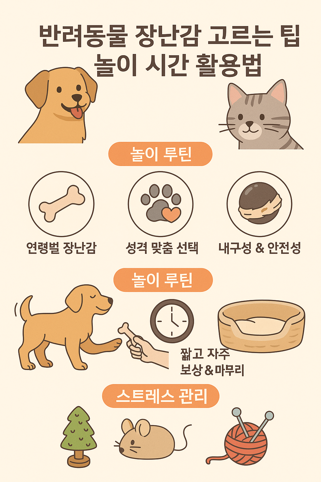 반려동물 놀이 시간
