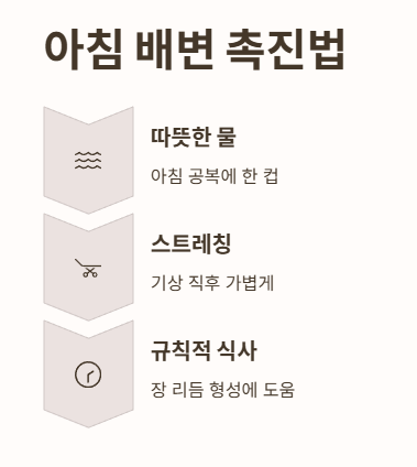 아침 배변 촉진법