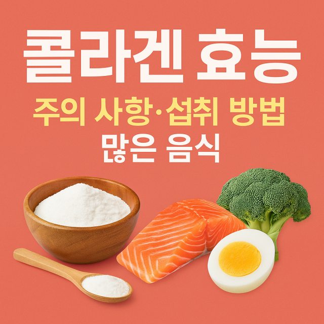 콜라겐 효능과 주의사항, 섭취 방법, 콜라겐이 많은 음식을 설명하는 건강 관리 대표 이미지
