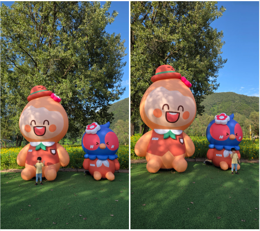 자라섬 (2025 꽃 페스타)