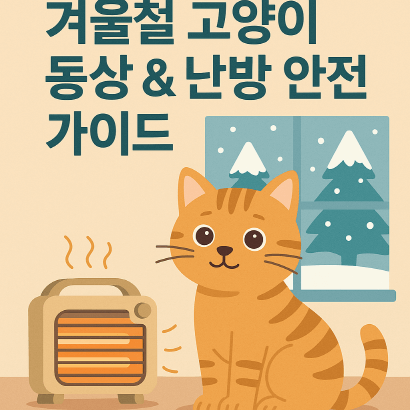 겨울철 고양이 동상 예방법 & 안전한 난방 가이드