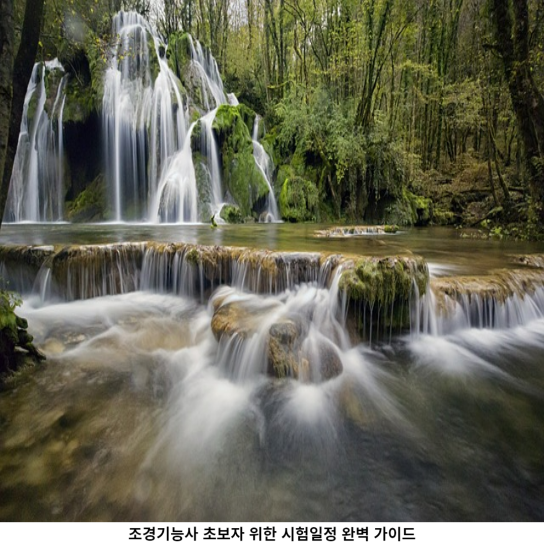 준비 방법 (유의사항)