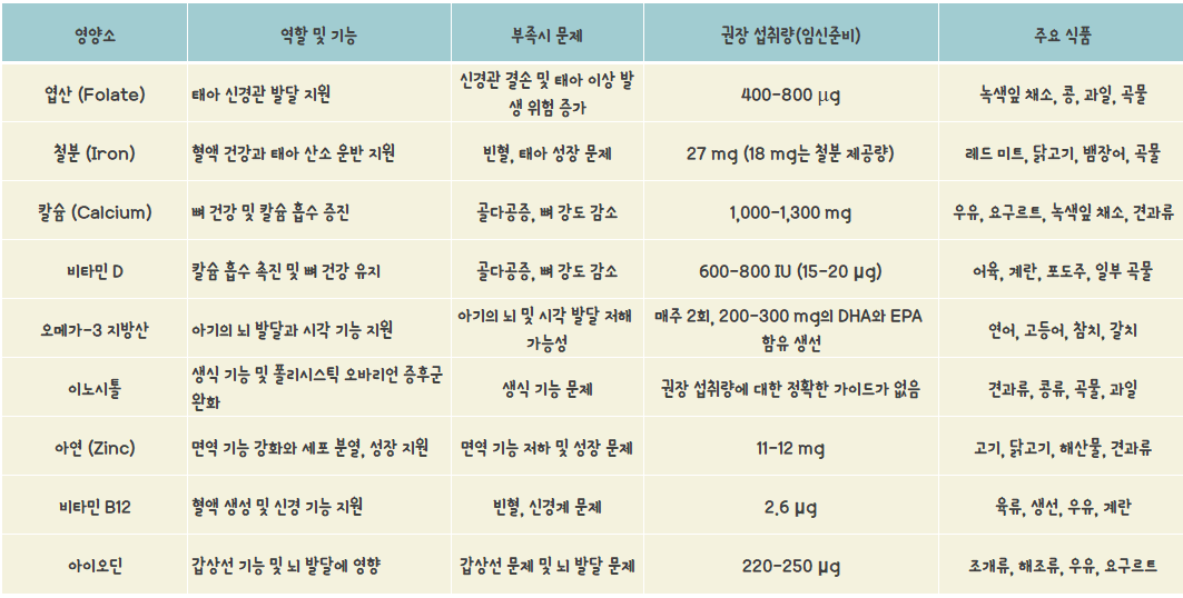 임신준비중 영양소 정리